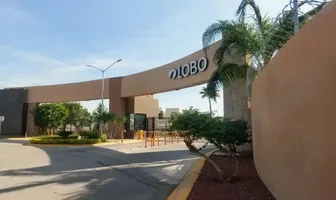 Foto de inmueble en Lobo #123, Col. Los Viñedos C.P. 27023, Torreón