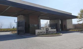 Foto de inmueble en Sin nombre de calle, Col. Punta Bosque C.P. 25209, Saltillo