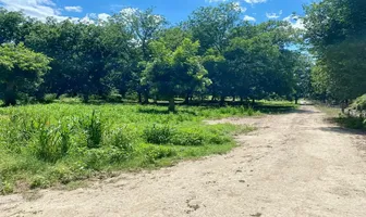 Foto de inmueble en Sin nombre de calle, Col. Rincón del Montero C.P. 27989, Parras