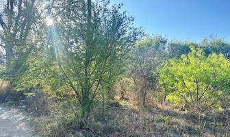 Foto de inmueble en Camino a los Zertuche, Los González, Saltillo, Col. San Alberto C.P. 25204, Saltillo