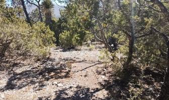 Foto de inmueble en Lote 6, Col. San Antonio de las Alazanas C.P. 25370, Arteaga