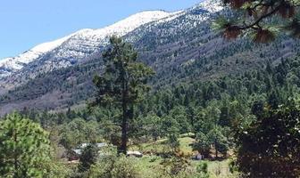 Foto de inmueble en MONTERREAL, Col. San Antonio de las Alazanas C.P. 25370, Arteaga