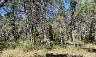Foto de inmueble en Carretera Matehuala Monterrey, Col. Sierra Hermosa C.P. 25390, Arteaga