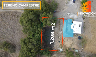 Foto de inmueble en calle X, Col. Altozano C.P. 28530, Cuauhtémoc