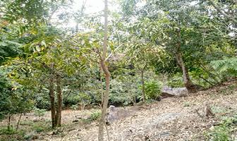 Foto de inmueble en Suchitlan, Colima, Col. Cofradía de Suchitlán C.P. 28460, Comala