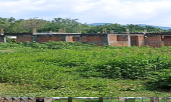 Foto de inmueble en Piscila, Col. Colima Centro C.P. 28624, Colima