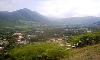 Foto de inmueble en Sin nombre de calle, Col. Tepames C.P. 28600, Colima
