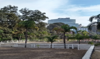 Foto de inmueble en TAMARINDOS, Col. Bosques de las Lomas C.P. 05120, Cuajimalpa de Morelos