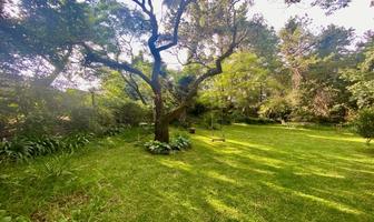 Foto de inmueble en Las Palmas, Col. El Molino C.P. 05240, Cuajimalpa de Morelos