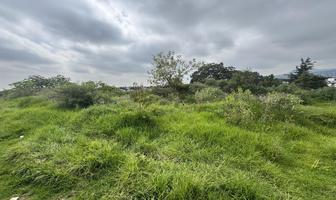 Foto de inmueble en Ferrocarril de Cuernavaca 39, Col. Las Huertas C.P. 10920, La Magdalena Contreras