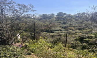 Foto de inmueble en Cumbres de Acutzingo, Col. Lomas de Chapultepec I Sección C.P. 11000, Miguel Hidalgo