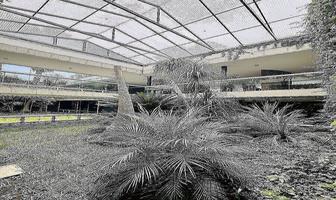 Foto de inmueble en LOMAS DE REFORMA, Col. Lomas de Reforma C.P. 11930, Miguel Hidalgo
