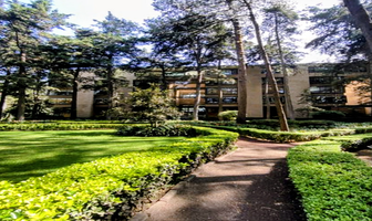 Foto de inmueble en Camino a Santa Teresa, Col. Peña Pobre C.P. 14060, Tlalpan
