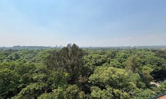 Foto de inmueble en Ruben Dario, Col. Polanco V Sección C.P. 11560, Miguel Hidalgo