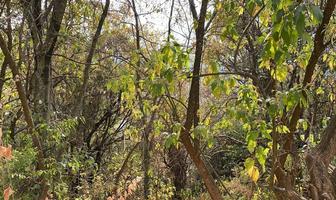 Foto de inmueble en Bosques de Santa Fe, Col. San Mateo Tlaltenango C.P. 05600, Cuajimalpa de Morelos