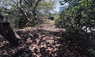 Foto de inmueble en , Col. San Mateo Tlaltenango C.P. 05600, Cuajimalpa de Morelos