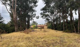 Foto de inmueble en Terreno en Venta - Cuajimalpa - 11,767m2, Col. San Mateo Tlaltenango C.P. 05600, Cuajimalpa de Morelos