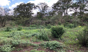 Foto de inmueble en , Col. San Miguel (Santa Ana Tlacotenco) C.P. 12930, Milpa Alta
