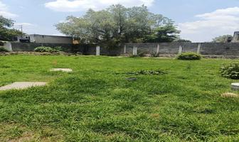 Foto de inmueble en Abasolo, Col. Santa María Tepepan C.P. 16020, Xochimilco