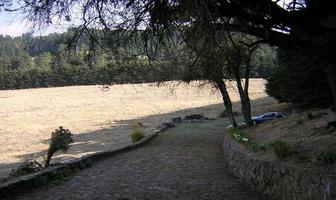 Foto de inmueble en , Col. Santo Tomas Ajusco C.P. 14710, Tlalpan
