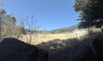 Foto de inmueble en , Col. Santo Tomas Ajusco C.P. 14710, Tlalpan