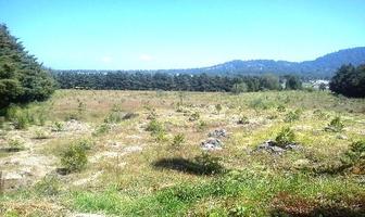 Foto de inmueble en Venta DE Terreno A LA Orilla DEL Lago Ajusco EN Tlalpan Ciudad DE México, Col. Santo Tomas Ajusco C.P. 14710, Tlalpan
