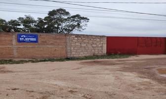 Foto de inmueble en Fraternidad, Col. Luz del Carmen C.P. 34164, Durango