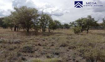 Foto de inmueble en Fracc. Campestre Sierra Linda #SN, Col. Victoria de Durango C.P. 34167, Durango