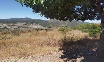 Foto de inmueble en Viñedos San Miguel, Cto. Malbec Oriente, Col. Comonfort Centro C.P. 38200, Comonfort
