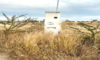 Foto de inmueble en APASEO EL ALTO #1, Col. Ejido Apaseo el Alto C.P. 38503, Apaseo el Alto