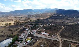Foto de inmueble en El Saltito de Guadalupe, Real del Salto L-20, Col. El Deportivo C.P. 37748, San Miguel de Allende