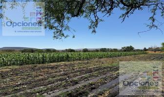 Foto de inmueble en Terreno en Venta, Carr. Salamanca - La Ordeña, Col. La Ordeña C.P. 36865, Salamanca