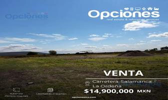 Foto de inmueble en Terreno en Venta en Carretera Salamanca–la Ordeña, Col. San José de Loma de Granados C.P. 36873, Salamanca