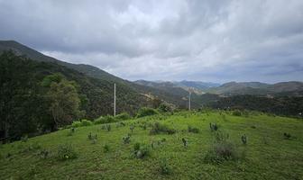 Foto de inmueble en Cañada de las Flores, Col. Santa Rosa de Lima C.P. 36220, Guanajuato