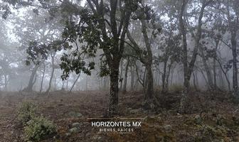 Foto de inmueble en Sierra de santa rosa, Col. Santa Rosa de Lima C.P. 36220, Guanajuato