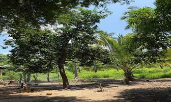Foto de inmueble en , Col. Coacoyul C.P. 40882, Zihuatanejo de Azueta