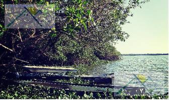 Foto de inmueble en Terreno Cocotero, CON Laguna Cerca DE Playa EL Dorado., Col. El Zapote C.P. 40980, Coyuca de Benítez