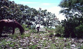 Foto de inmueble en , Col. Huitzuco Centro C.P. 40130, Huitzuco de los Figueroa