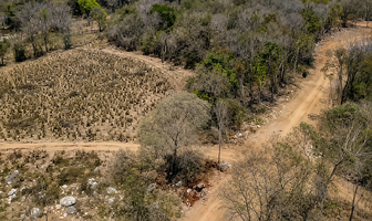 Foto de inmueble en Lote Rústico Palma Sola y Lote Rústico Palomares, Troncones, Municipio La Union de Isidoro Montes de, Col. Troncones (Emiliano Zapata) C.P. 40807, La Unión de Isidoro Montes de Oca
