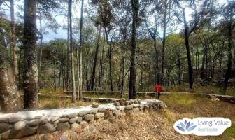 Foto de inmueble en Rancho San Francisco, Col. Bermúdez C.P. 43517, Huasca de Ocampo