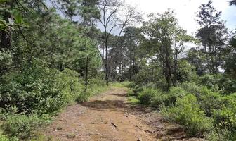 Foto de inmueble en PARAJE CUATRO PALOS #S/N, Col. Cuatro Palos C.P. 43797, Singuilucan
