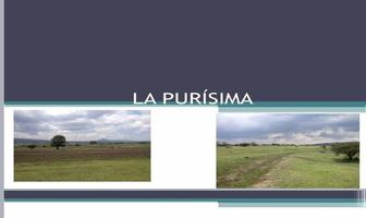 Foto de inmueble en la purisima, Col. Devego C.P. 42473, Nopala de Villagrán