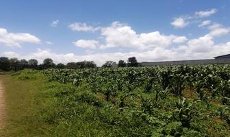 Foto de inmueble en Tiltepec, Mpio Atotonilco el Grande Hidalgo, Col. El Atorón C.P. 43320, Atotonilco el Grande