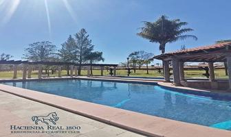 Foto de inmueble en , Col. Hacienda Real 1800 (La Manga) C.P. 42433, Huichapan