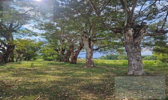 Foto de inmueble en Noxtongo, Tepeji del Rio, Col. Noxtongo C.P. 42855, Tepeji del Río de Ocampo