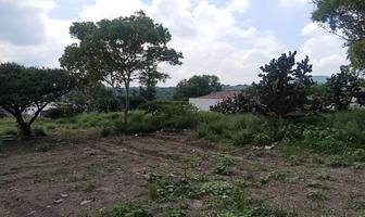 Foto de inmueble en , Col. Presa Escondida C.P. 42852, Tepeji del Río de Ocampo