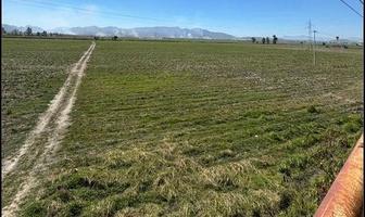 Foto de inmueble en Carr. Guadalajara - Ameca, Col. Acacias C.P. 45310, Tala