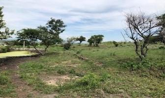 Foto de inmueble en el durazno, Col. Acatlan de Juárez C.P. 45700, Acatlán de Juárez