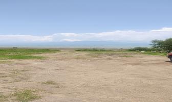 Foto de inmueble en , Col. Ajijic Centro C.P. 45920, Chapala