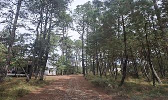 Foto de inmueble en , Col. Atemajac de Brizuela C.P. 45790, Atemajac de Brizuela